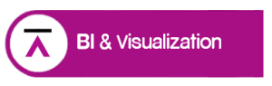 BI & Visualization